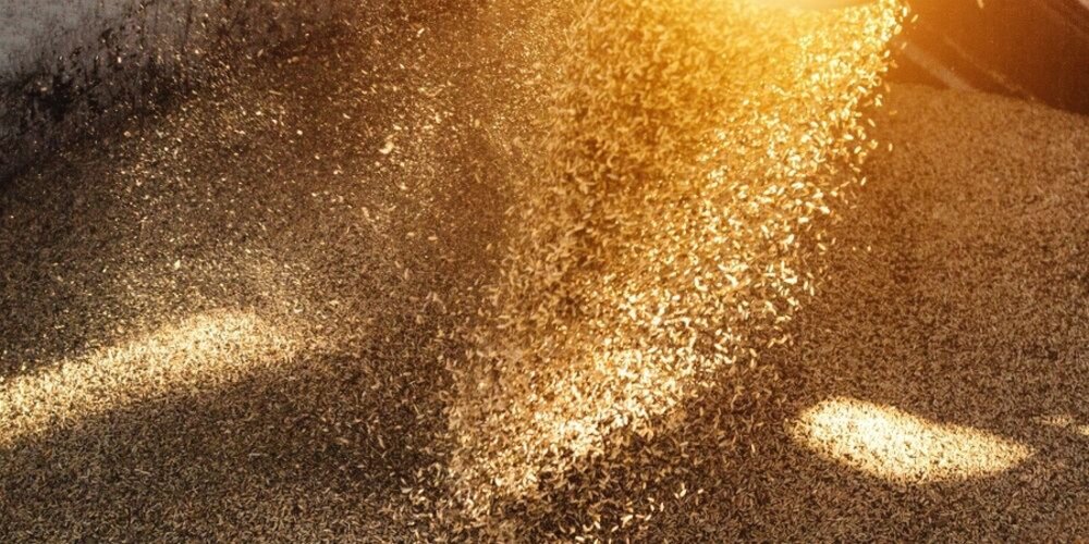 TT Talk: Bulk cargo storage fire risks