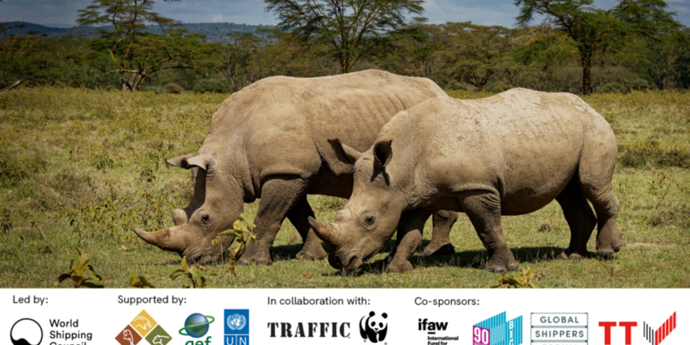 Ten organisations unite to combat illegal wildlife trafficking in global supply chains