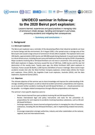 UN/OECD seminar in follow-up to the 2020 Beirut port explosion