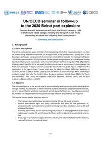 UN/OECD seminar in follow-up to the 2020 Beirut port explosion