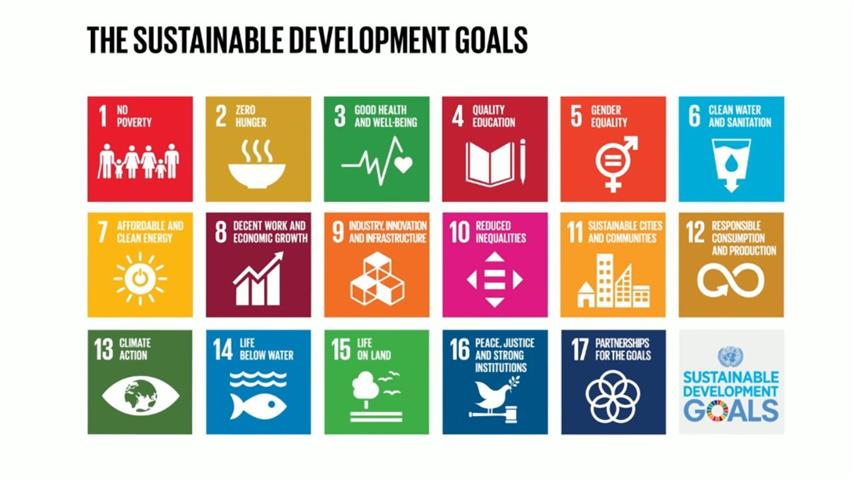 What are the SDGs